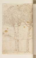 L 039
<br/>
Landschap met drie pijnbomen
<br/>
<em>Lorrain, Claude (1604/5-1682)</em>